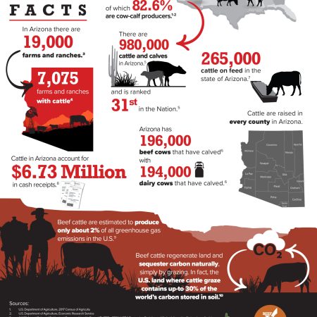 arizona-beef-facts