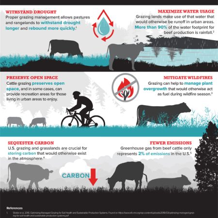 beef-sustainability-facts